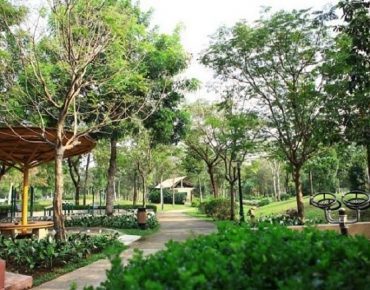 Công viên Hương Tràm quận 7, điểm nhấn xanh giữa lòng đô thị