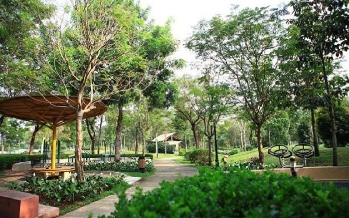 Công viên Hương Tràm quận 7 là lá phổi xanh của khu vực