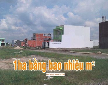 Đổi 1ha bằng bao nhiêu m2?